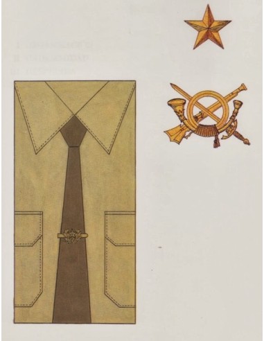 Estrella 5 puntas (Estado Mayor) Unidad 