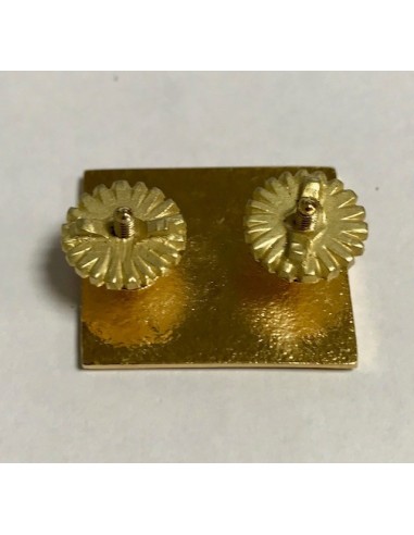 Divisa Cabo Parche Gala Bripac (Par)