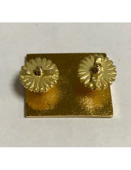 Divisa Cabo Parche Gala Bripac (Par)