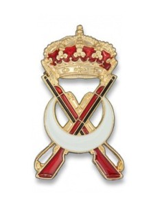 Distintivo de Permanencia en Regulares