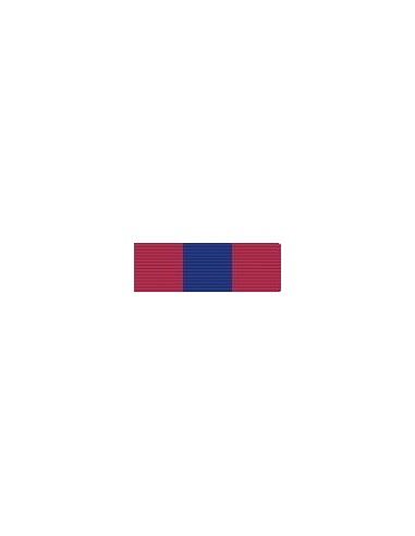 Armazón Condecoración Medalla de Bronce de la Defensa Nacional (Francia)