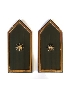 Par de Palas Cuerpos Comunes verde (rígidas) Reglamentarias