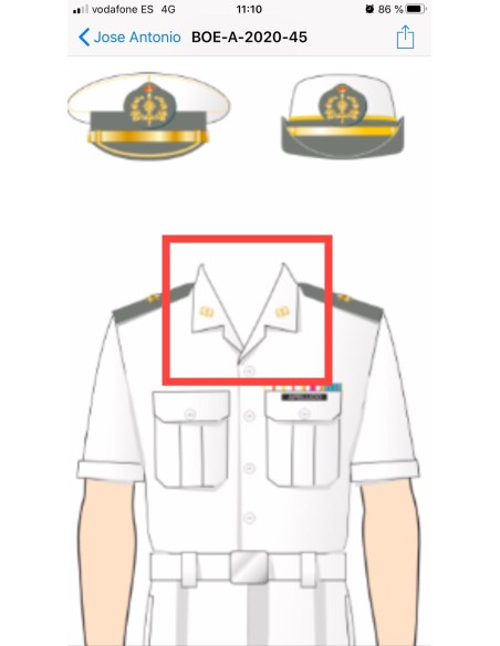 Par de Palas Cuerpos Comunes verde (rígidas) Reglamentarias