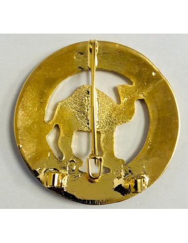 Distintivo Provincia de IFNI (Antiguo)