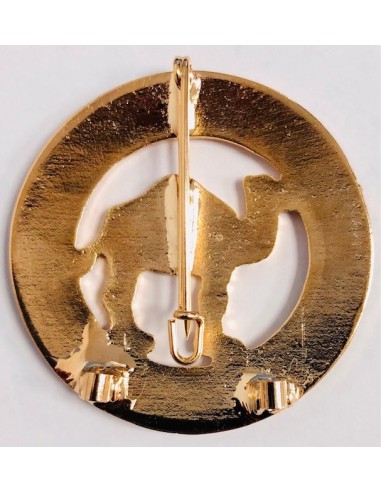 Distintivo del Sahara (Antiguo)