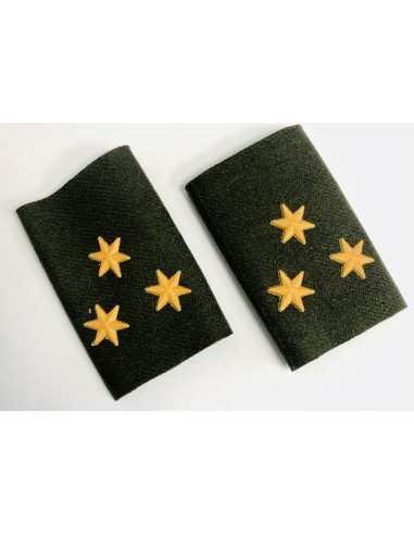 Manguitos Cuerpos Comunes (Par)