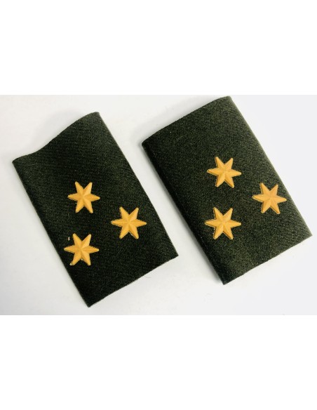 Manguitos Cuerpos Comunes (Par)