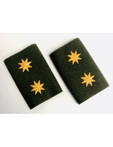 Manguitos Cuerpos Comunes (Par)