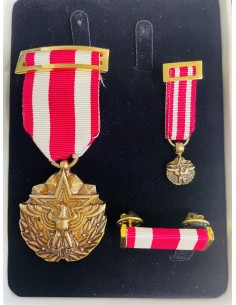 Conjunto Medalla por Servicio Meritorio EE.UU 2
