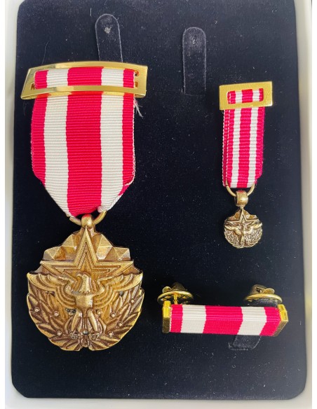 Conjunto Medalla por Servicio Meritorio EE.UU