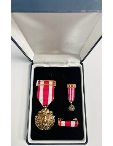 Conjunto Medalla por Servicio Meritorio EE.UU