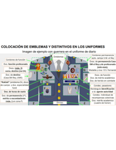 Distintivo Alumno Cuadro de Honor dorado Oficiales 2