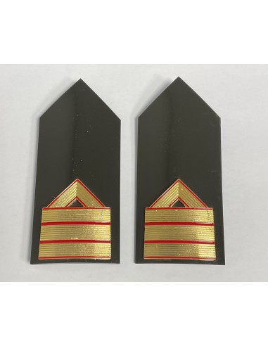 Hombreras portadivisa Cuerpos Comunes verde (rígidas) Reglamentarias