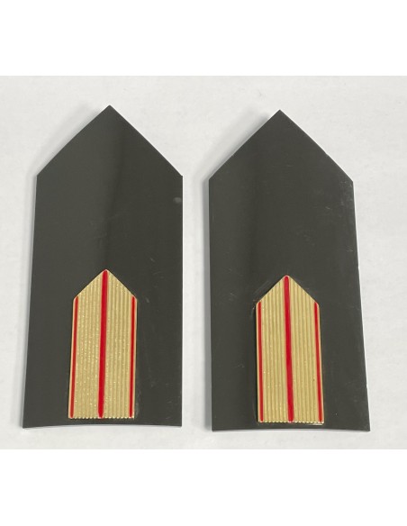 Hombreras portadivisa Cuerpos Comunes verde (rígidas) Reglamentarias