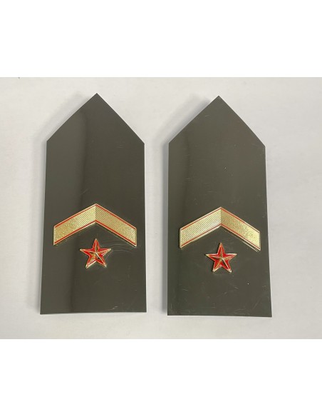 Hombreras portadivisa Cuerpos Comunes verde (rígidas) Reglamentarias