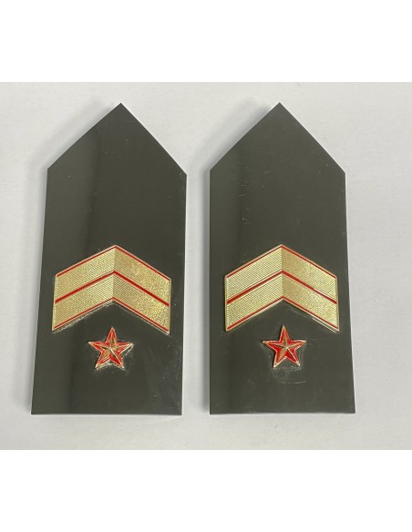 Hombreras portadivisa Cuerpos Comunes verde (rígidas) Reglamentarias