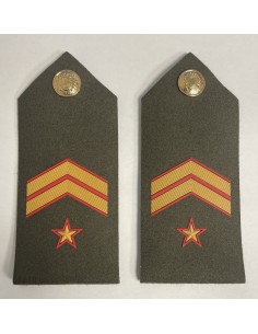 Hombrera de tela Reglamentarias Cuerpos Comunes (Par) 2