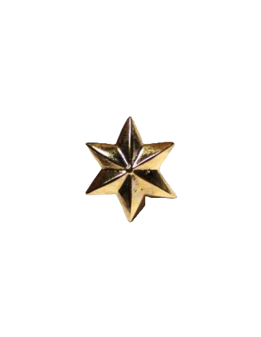 Estrella de 6 PUNTAS - UNIDAD