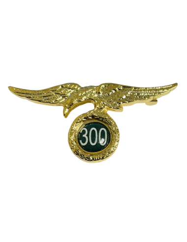 Distintivos Números de Saltos Paracaídas 300