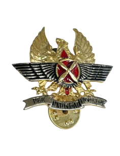 Distintivo de Apoyo Aéreo