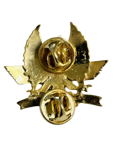 Distintivo de Apoyo Aéreo