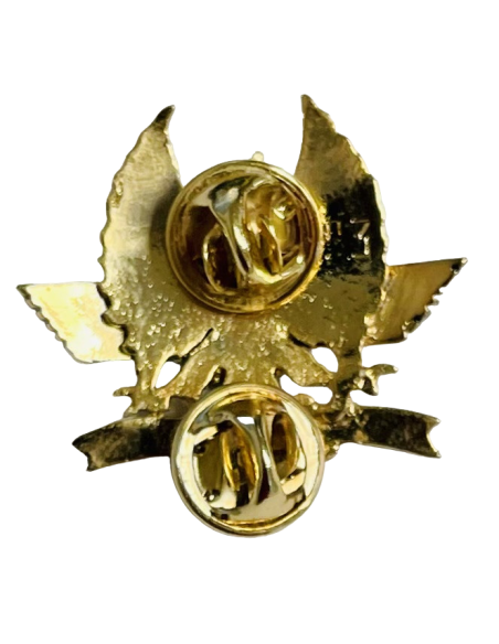 Distintivo de Apoyo Aéreo