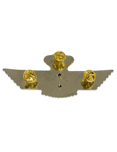 Roquisqui Metal Cuerpo General Defensa y Control Aeroespacial 