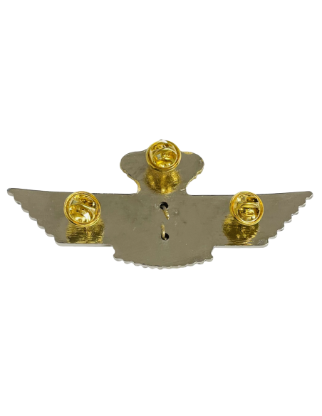 Roquisqui Metal Cuerpo General Defensa y Control Aeroespacial 