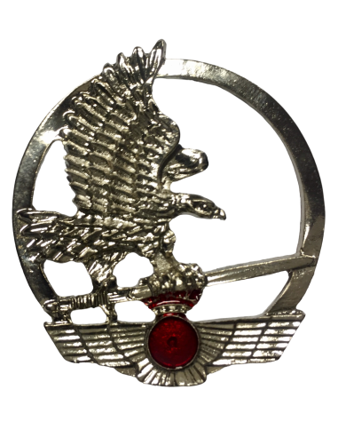 Emblema de Boina Escuadrón de Apoyo al Despliegue Aéreo EADA