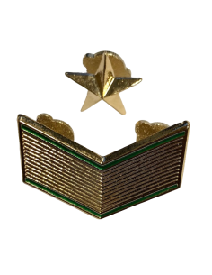 Galón de Boina metálico Subteniente Ejército del Aire