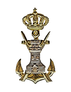 Distintivo Oficial Infantería de Marina aptitud Zapadores