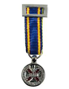 Medalla Miniatura de la Campaña Militar 2018 (Esmaltada)