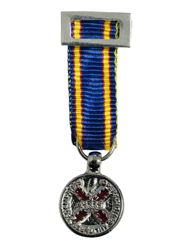 Medalla Miniatura de la Campaña Militar 2018 (Esmaltada)