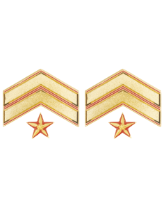 Galón metálico SUBOFICIAL MAYOR (Par)