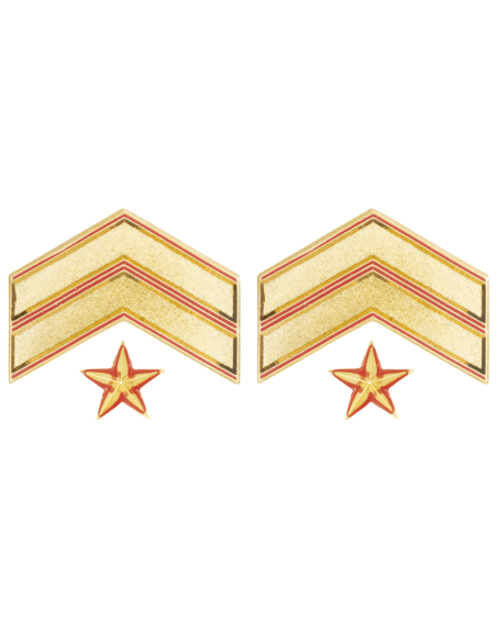 Galón metálico SUBOFICIAL MAYOR (Par)