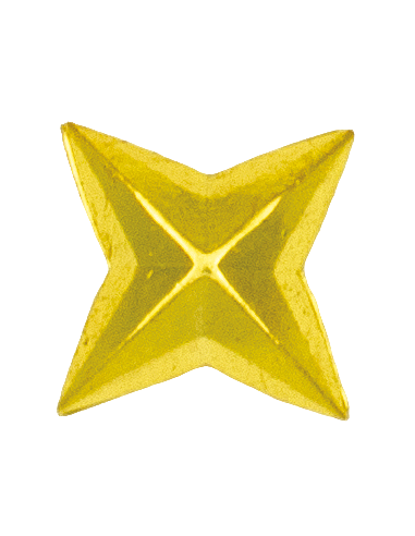 Estrella de 4 PUNTAS - GENERAL - UNIDAD