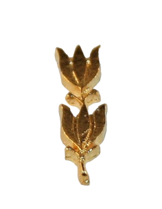 Miniatura pasador diario laureles G.C Dordado