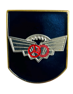 Distintivo de Título Instructor Automovilista