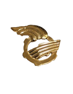 Distintivo Conductor de vehículos Anfibios CVC