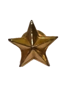 Estrella 5 puntas Estado Mayor