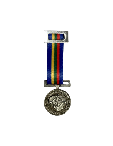 Medalla Miniatura Fuerzas Armadas Lituania de apoyo mutuo