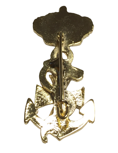 Distintivo Oficial de la Armada de Sanidad