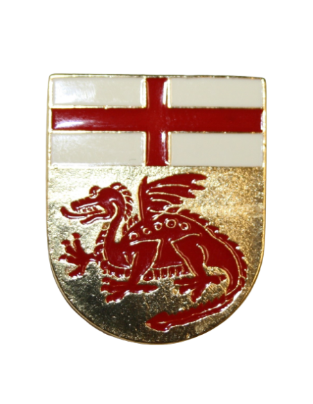 Distintivo Metal COE IV