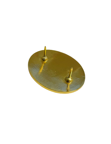 Distintivo de Función Seguridad del Estado 