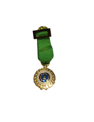 Medalla miniatura Sufrimiento por la Patria Verde