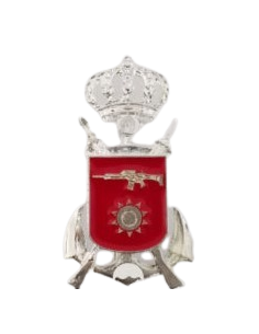 Distintivo aptitud de MANTENIMIENTO DE ARMAMENTO de Infantería de Marina tropa