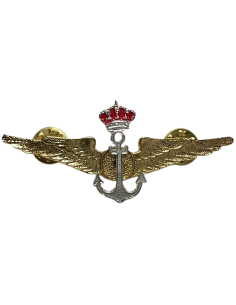 Distintivo Alas Piloto Flotilla Aeronaves Genérico 