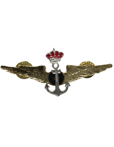 Distintivo Alas Flotilla Aeronaves Controlador táctico de aviones en la mar