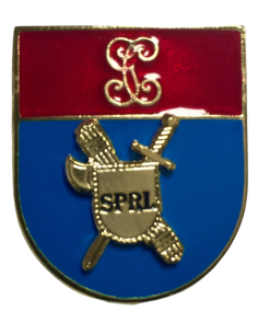 Distintivo en relieve Titulo Riesgos Laborales