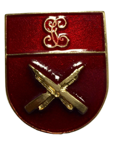 Distintivo Titulo Seguridad y Defensa